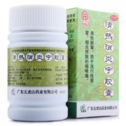 广东五虎山  清热消炎宁胶囊