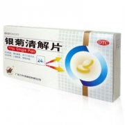 银菊清解片