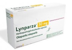 奥拉帕尼注意事项